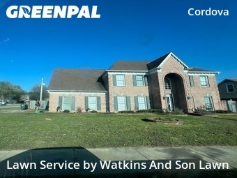 Lawn mowed in Cordova, 38016