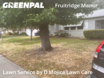 Lawn Mowing Service nearby Sacramento, CA, 