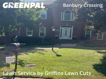 Lawn Servicein Brentwood,37027,Yard Cutting by Griffins Lawn Cuts, work completed in Nov , 2025