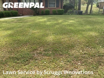 Grass Cut nearby College Park, GA, 