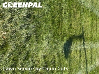 Lawn Care Service nearby Murfreesboro, TN, 