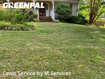 Yard Cutting nearby Greensboro, NC, 