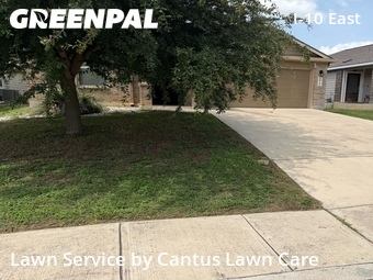 Grass Cut nearby Converse, TX, 