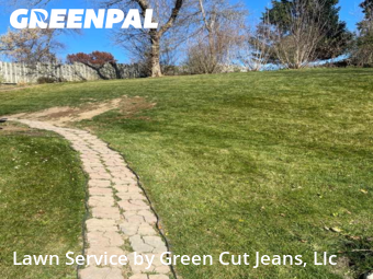 Lawn Cut nearby Salem, IL, 