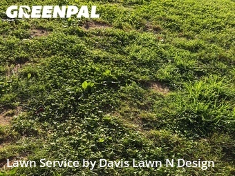 Lawn Service nearby Knoxville, TN, 