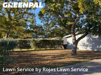 Lawn Mow nearby Edinburg, TX, 