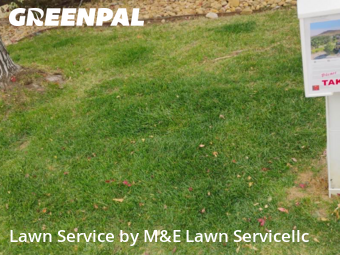 Lawn Cut nearby Denver, CO, 