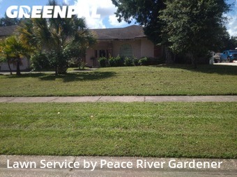 Lawn Cutting nearby Brandon, FL, 