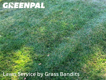 Lawn Care Service nearby Billings, MT, 