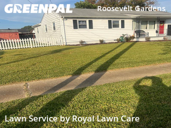 Yard Cutting nearby Norfolk, VA, 