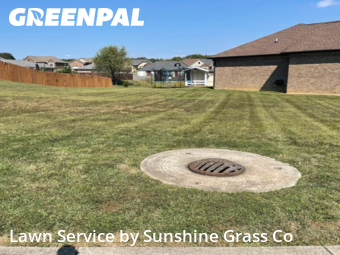 Grass Cutting nearby Speed, IN, 