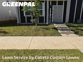 Grass Cut nearby Fort Worth, TX, 