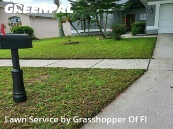 Grass Cutting nearby Valrico, FL, 