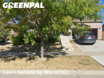 Grass Cutting nearby Aurora, CO, 