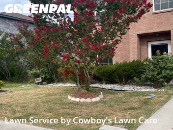 Yard Mowing nearby Converse, TX, 