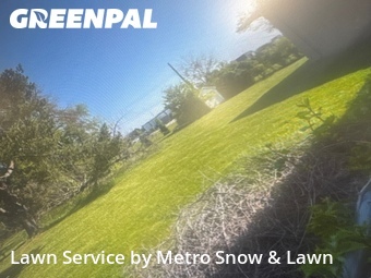 Yard Mowing nearby Sterling Heights, MI, 