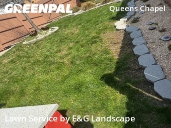 Landscaping Cleanup In Washington,20011,Landscaping Installation by E&G Landscape , work completed in May , 2026