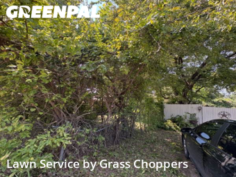 Grass Cutin Denton,76201,Lawn Mowing Service by Grass Choppers , work completed in Oct , 2025