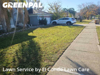 Lawn mowed in Buena Ventura Lakes, 34743
