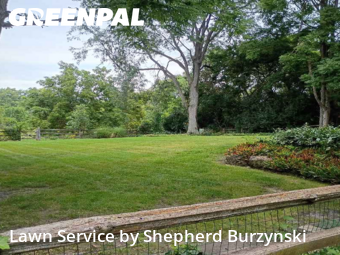 Grass Cut nearby Downers Grove, IL, 