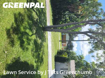 Yard Mowing nearby Port Charlotte, FL, 