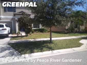 Yard Cutting nearby Sun City Center, FL, 