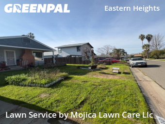 lawn-care-experts-near-me-in-Yuba City-CA