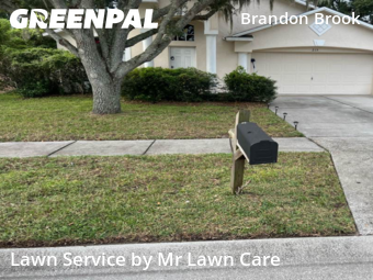 Lawn Mowing nearby Valrico, FL, 