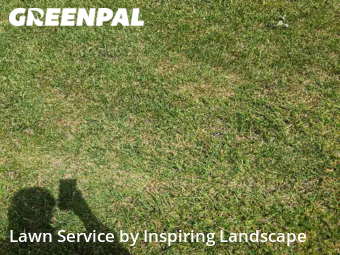 Lawn Servicein Castle Rock,80104,Lawn Service by Inspiring Landscape, work completed in Jan , 2026