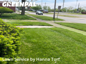Grass Cutting nearby Elyria, OH, 