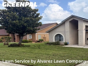 Grass Cut nearby Ocoee, FL, 
