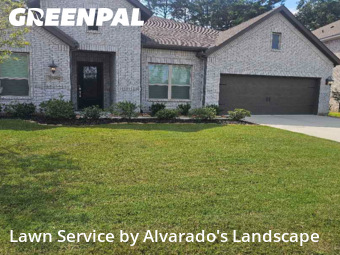 Lawn Carein Porter,77365,Yard Cutting by Alvarado's Landscape, work completed in Nov , 2025
