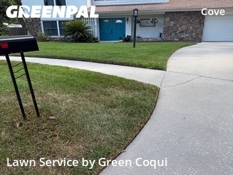 Lawn Maintenance nearby Tampa, FL, 