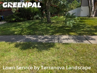 Grass Cutting in Hanover Park, 60133, Property Maintenance by Terranova Landscape, work completed in Nov , 2025