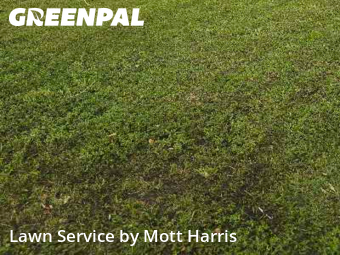 Lawn Cutting nearby Margate, FL, 