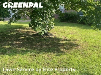 Yard Mowing nearby Springdale, AR, 
