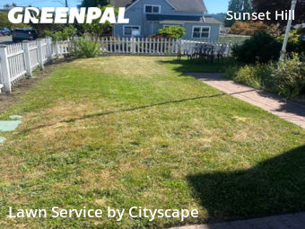 Lawn Mow nearby Seattle, WA, 
