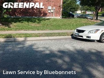 Lawn Mow nearby Austin, TX, 