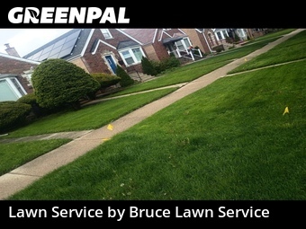 Lawn mowed in Elmwood Park, 60707