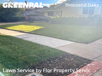 Lawn Cut nearby San Jose, CA, 