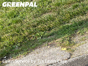 Yard Cutting nearby Florissant, MO, 