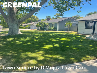 Grass Cut nearby Sacramento, CA, 