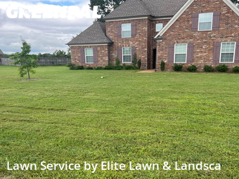 Lawn Mowing nearby Olive Branch, MS, 
