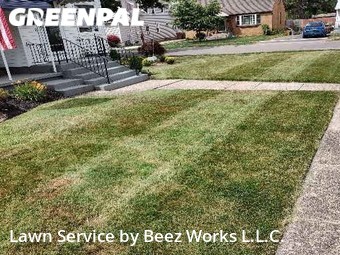 Lawn Cut nearby Cheektowaga, NY, 