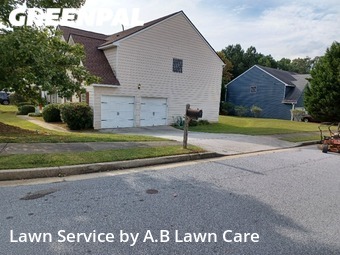 Yard Cutting nearby Palmetto, GA, 
