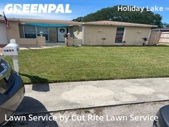 Grass Cutting nearby Holiday, FL, 