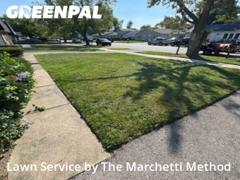 Lawn Care nearby North Aurora, IL, 
