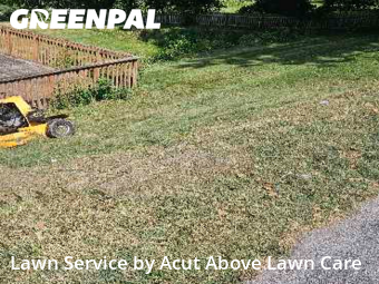 Yard Management in Bethel Park, 15102, Yard Care by Acut Above Lawn Care, work completed in Nov , 2025