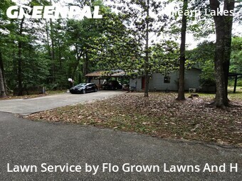 Grass Cut nearby Tallahassee, FL, 