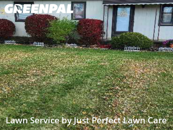 Grass Care in Middleburg Heights, 44130, Yard Services by Just Perfect Lawn Care, work completed in Nov , 2025